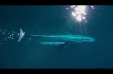 «Ogni angolo è un mondo»: online il video dei salentini Crifiu con Valerio Jovine