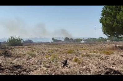 Le fiamme lambiscono le ville, incendio nell'oasi del fiume Pamunto, tra Lama e San Vito: evacuata la zona