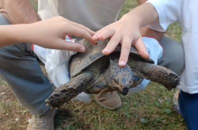 Bari, a Parco due giugno il villaggio delle Geo & Biodiversità
