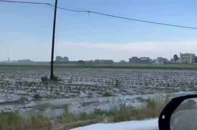 Bomba d'acqua e grandinata nel Sud Salento: Cutrofiano imbiancata