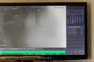 Specchia, branco di lupi entra in una villetta e sbrana un pincher VIDEO