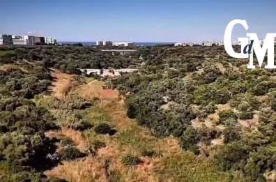Bari, Lama Balice diventa Parco regionale naturale