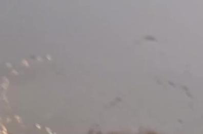 Piogge torrenziali e strade allagate: il maltempo arriva in Puglia VIDEO 