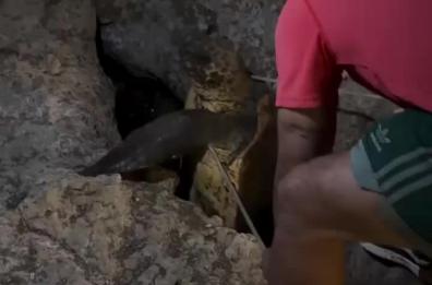 Caretta caretta si arena sugli scogli a Savelletri: salvata da pescatori e staff del lido