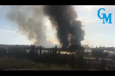Maratea, fiamme nell'ex stabilimento abbandonato Pamafi: rallentata circolazione treni