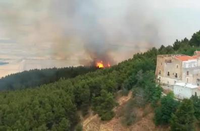 Allarme incendi, la Puglia brucia da Nord a Sud: 5 roghi attivi 