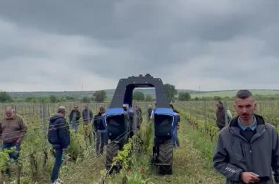 DF in vigna: l'agricoltura 4.0 arriva in Puglia