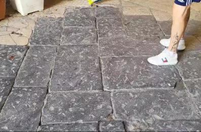 Topo semina il panico a Bari Vecchia, i residenti gli danno la caccia