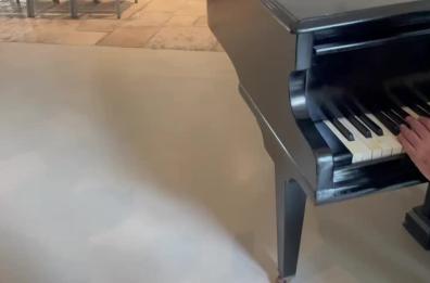 Bari, il sottosegretario Sisto al pianoforte: la "dedica" è per Berlusconi