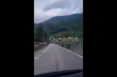 Arco, orso bruno in centro: interviene la forestale