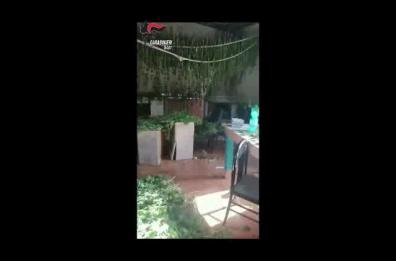 «Pizze» e «birra» consegnati a domicilio h24, ma in realtà era droga: sette arresti ad Altamura