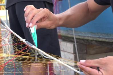 Fasano Fish Festival: ecco il video della festa dedicata al mare
