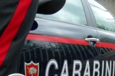 Testa di capretto con pugnale fuori da studio avvocato: «Mai ricevuto minacce»