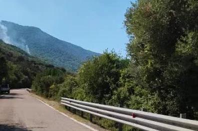Incendi, brucia il bosco nel Foggiano a ridosso Statale 96