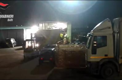 Modugno, smantellata banda del riciclaggio di auto rubate: in 4 arrestati, sono del Foggiano VIDEO