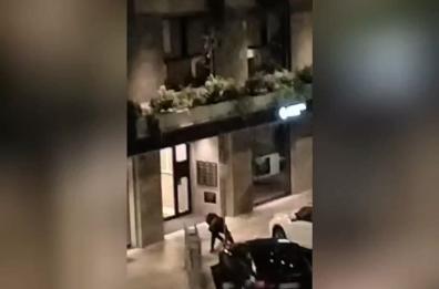Bari, furto «in diretta» in via Melo: uomo incappucciato ruba indisturbato una bici VIDEO