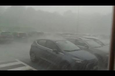 Legnano, temporale con nubifragio e grandine: alberi caduti su auto