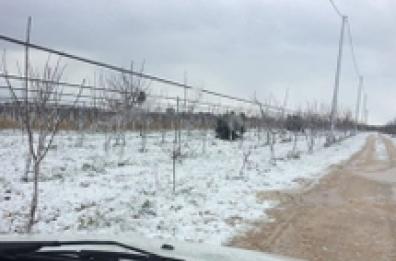 Puglia, chiesto stato di calamità per i danni da maltempo 