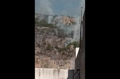 Palermo, incendio a Monte Pellegrino: fiamme nel parco della Favorita