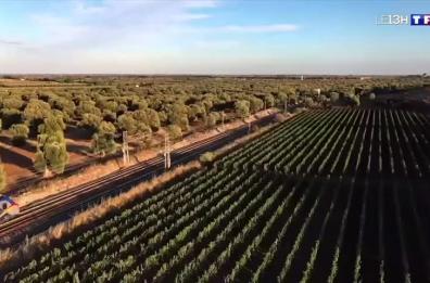 Lecce e la Puglia conquistano la tv francese: pasticciotti e cartapesta nel servizio per TF1