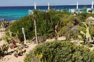 Giardino botanico sulla scogliera: a Gallipoli scattano sigilli e quattro denunce