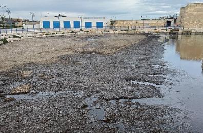 Dragaggio porto Villanova, corsa contro il tempo