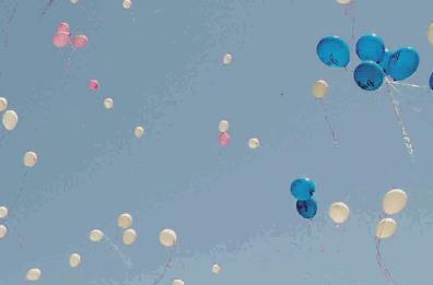 Salento: «Stop ai palloncini lanciati in volo, inquinano e minacciano animali»