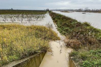 Ofanto, forte la paura tra esondazioni e danni nella Bat