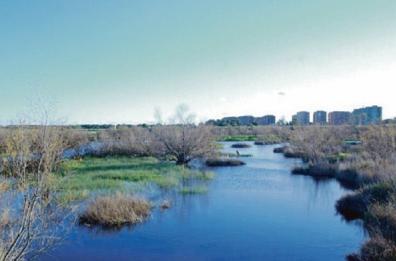 Taranto, parco «Salina piccola»: affidata la progettazione