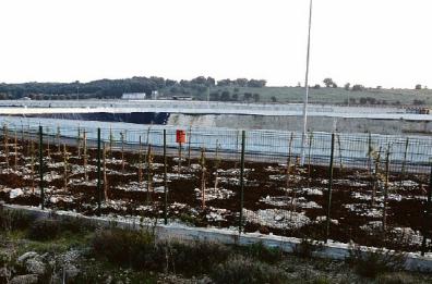 Conversano e Corigliano: quelle due discariche pubbliche pronte da anni e mai aperte