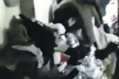 Foggia, «Liberate la casa degli orrori»