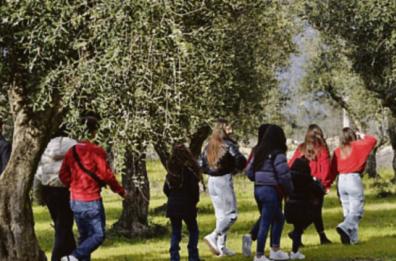 A Martano l'uliveto della memoria: in ricordo delle vittime di femminicidio