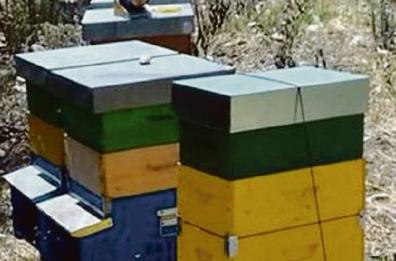 Gli apicoltori si incontrano a Brienza, produttori di dolcezza e custodi di biodiversità
