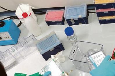 Lotta contro il cancro, dai coleotteri nuove armi: lo studio dalla Basilicata