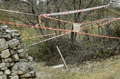 Santeramo, continua il giallo di Michelle: indagini serrate