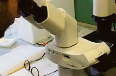 Brindisi,  un «utile» incontro telematico sulla retribuzione per i «non medici»