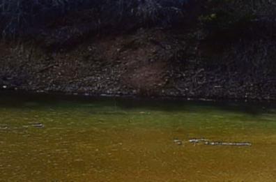 Spinoso, la diga del lago Pertusillo si colora di marrone: l’allarme del sindaco