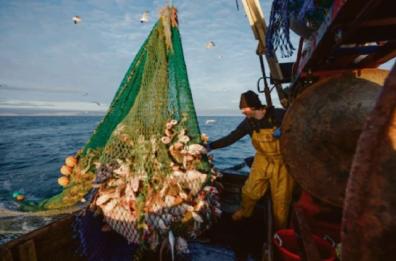 Marinerie in rivolta contro lo stop dell’Ue alla pesca a strascico