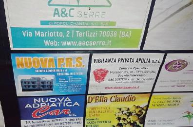 Terlizzi, «galeotto» lo sponsor di un’azienda in odore di mafia