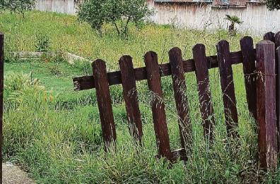 Ceglie, giardini e strade invase dalle sterpaglie alla vigilia dell’estate