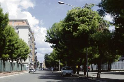 Foggia, sparatoria davanti al bar: «Rendine mi minacciava e ho sparato»