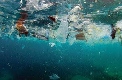 Sorprendente scoperta: residui di plastica nello sperma umano