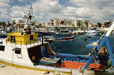 Nuovo furto di reti e di pesce a Savelletri: la storia si ripete