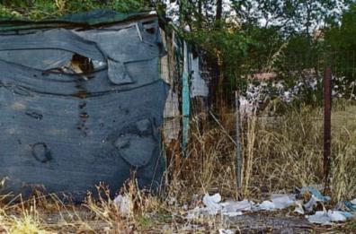 Foggia, «In via Almirante c'è un lager di cani»: sos degli animalisti 