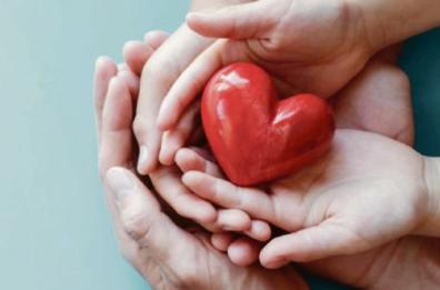  Donazione di organi il record è di Corato: prima in Italia tra le città medio-grandi