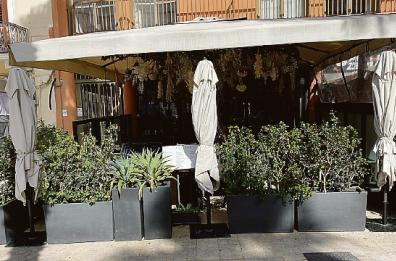 Bari, piante e fiori sono fuorilegge: multe in corso Vittorio Emanuele