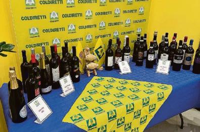 La Basilicata del vino unita in un solo distretto: ecco «DiVino» 