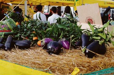 A Scanzano Jonico «Agrifood» svela le  eccellenze lucane