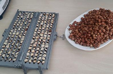 La Nutella ha il sapore delle nocciole di Basilicata