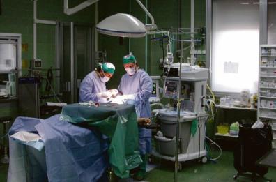 Donazioni e trapianti d’organi un anno da record in Puglia